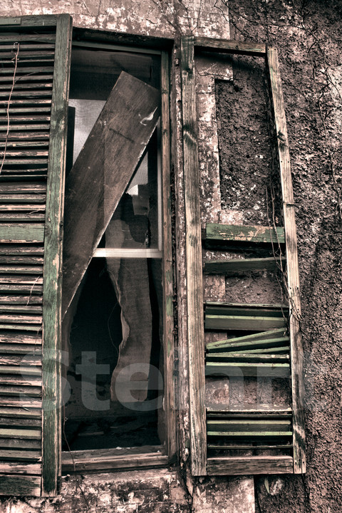 IMG_9029_fhdr copia