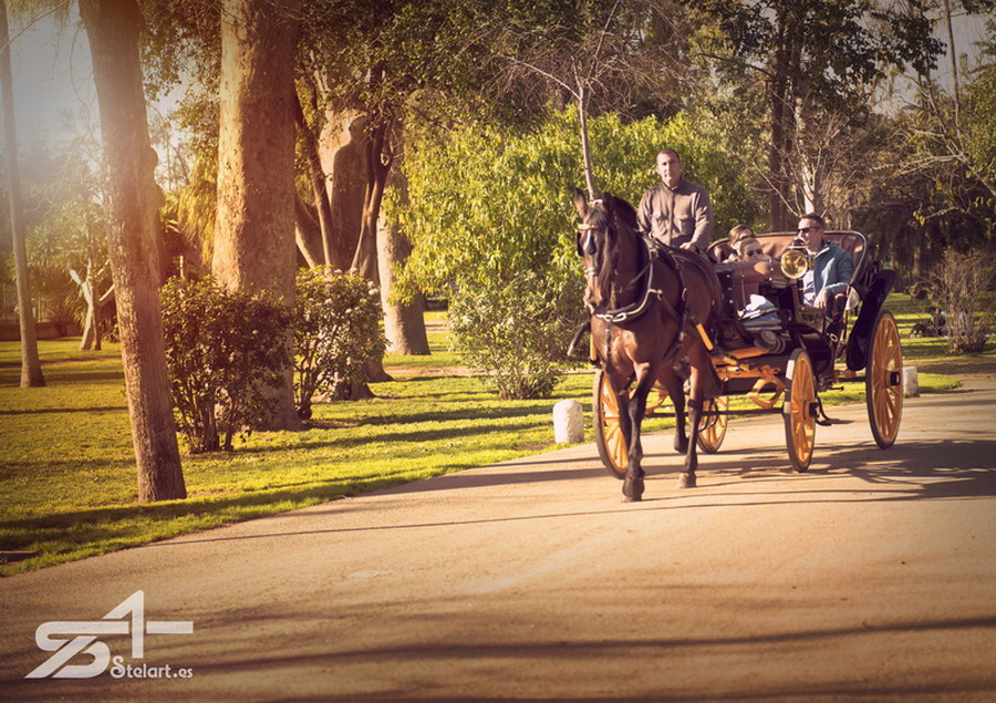 Parque Maria Luisa 03